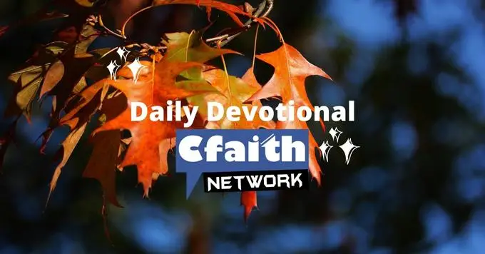 Cfaith Devotional – The Boldness of Graceful Love