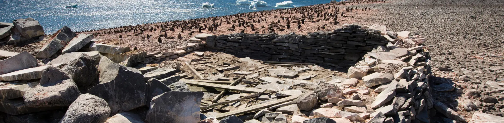 4f9931868fc5281c828d589f25234c6b1741a78d